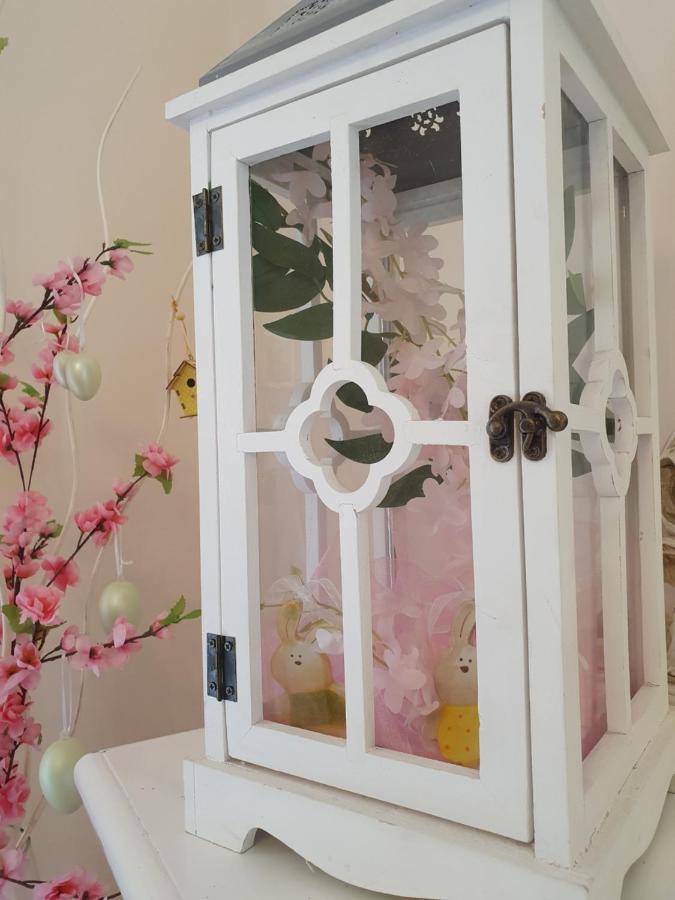B&B Villa Maria Terni Exteriér fotografie