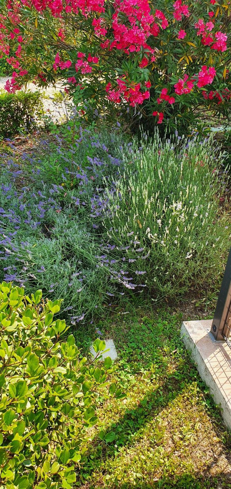 B&B Villa Maria Terni Exteriér fotografie