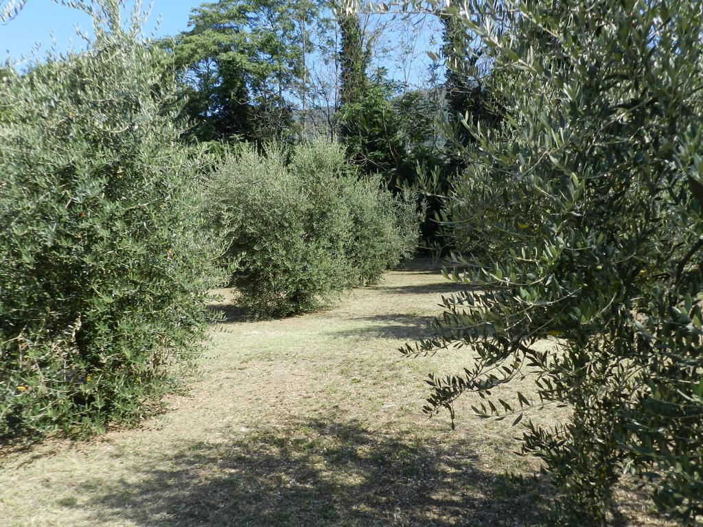 B&B Villa Maria Terni Pokoj fotografie